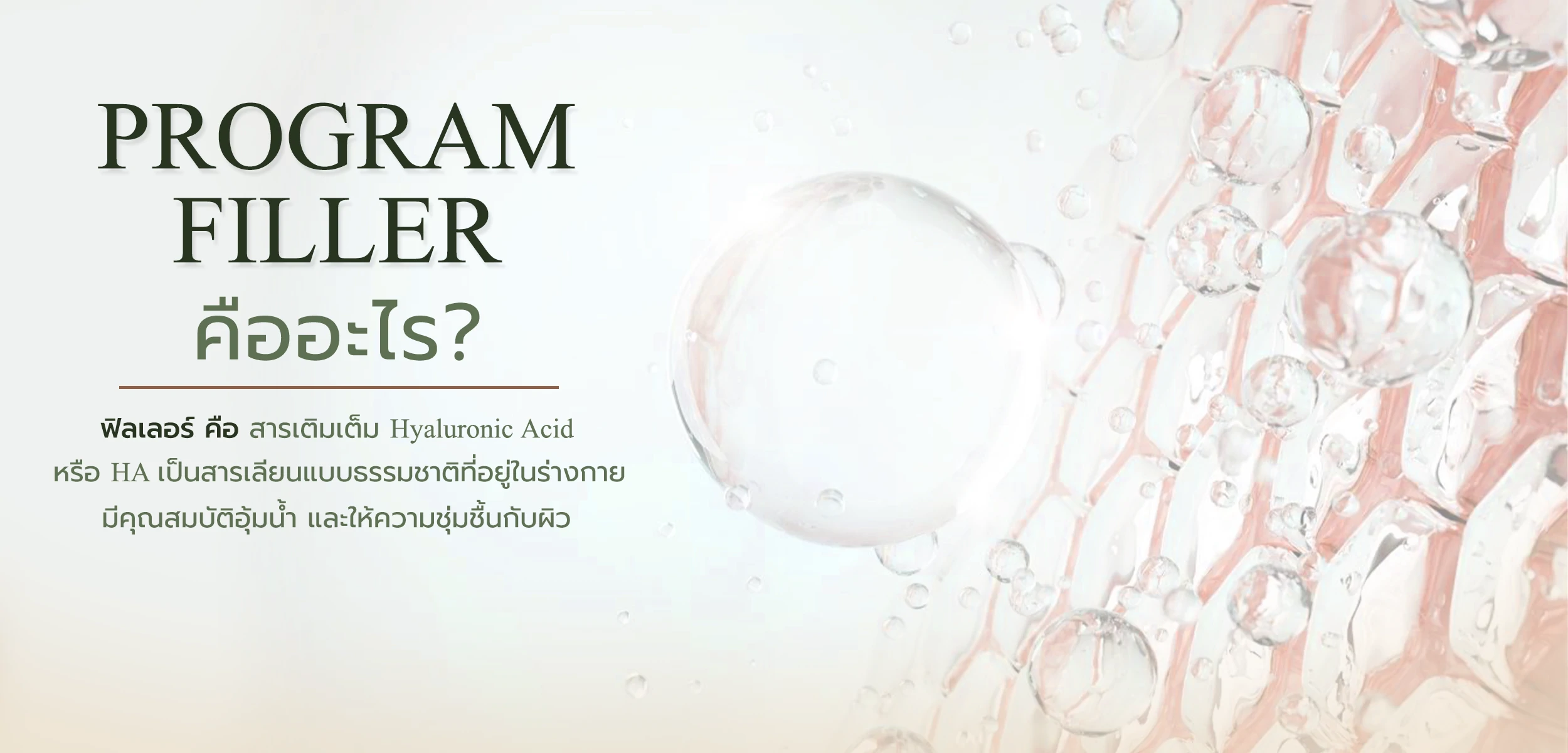 filler คืออะไร